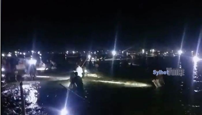 লাইট জ্বালিয়ে শান্তিগঞ্জের কাওয়াজুরী জলমহালের অর্ধকোটি টাকার মাছ লুট
