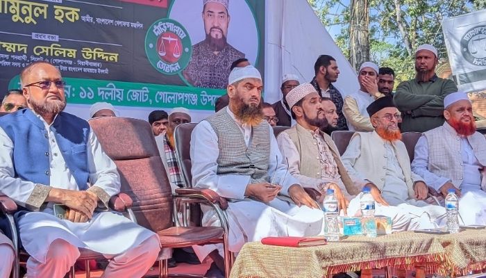 না ভোটের পক্ষে প্রচার মানেই বাংলাদেশের বিপক্ষে অবস্থান: মামুনুল হক