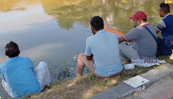 শান্তিগঞ্জে বড়শি দিয়ে মাছ ধরার উৎসব