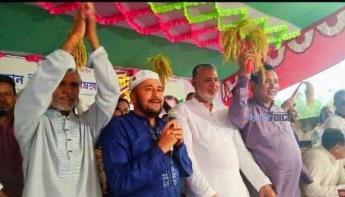 শ্রীমঙ্গলে বিএনপির সমন্বয় সভা অনুষ্ঠিত