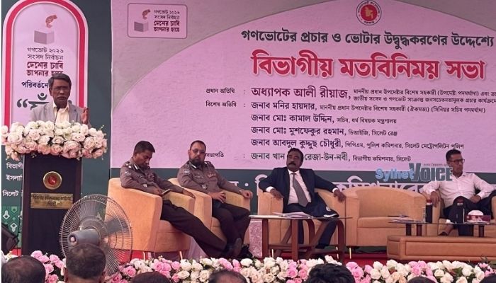 গণভোটে ‘হ্যাঁ’-এর পক্ষে সরকারের প্রচারণা বৈধ: আলী রিয়াজ
