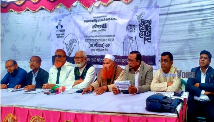 ‘ক্ষমতায় গেলে বানিয়াচং–আজমিরীগঞ্জ হবে উন্নয়নের রোল মডেল’