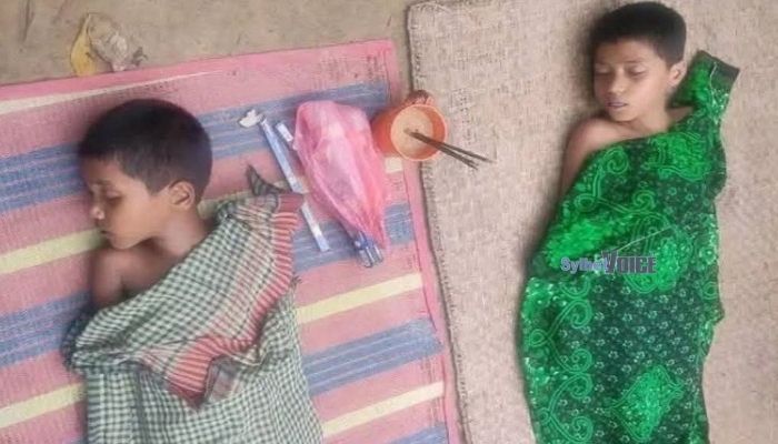 হবিগঞ্জে পুকুরে ডুবে ভাইবোনের মৃত্যু