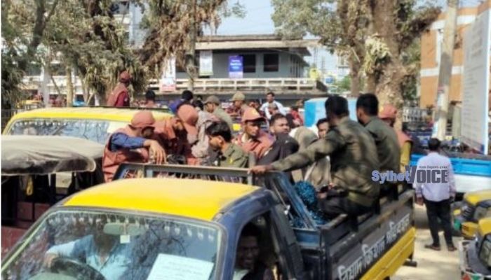 মৌলভীবাজার-২ আসনে ভোটকেন্দ্রে পাঠানো হয়েছে ব্যালট ও নির্বাচনী সরঞ্জাম