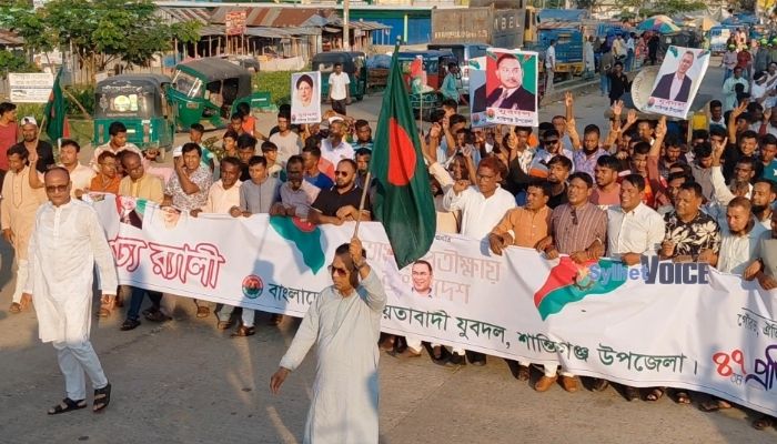 শান্তিগঞ্জে যুবদলের প্রতিষ্ঠাবার্ষিকীতে বর্ণিল র‍্যালি ও আলোচনা সভা