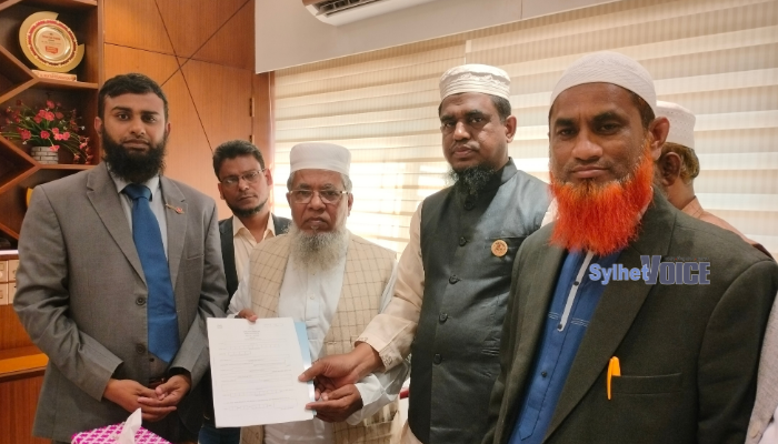 মনোনয়ন ফরম সংগ্রহ করলেন শাহীনূর পাশা চৌধুরী