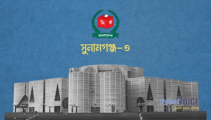 প্রবাসীদের পদচারণায় মুখরিত নির্বাচনী এলাকা