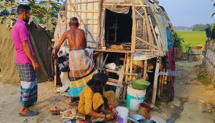 ভাসমান জীবনের বন্দী বেদেরা: নলজুর নদীর ধারে সংগ্রামের গল্প